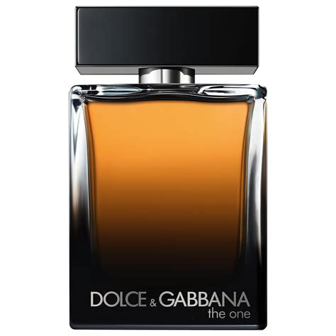 dolce gabbana homme the one